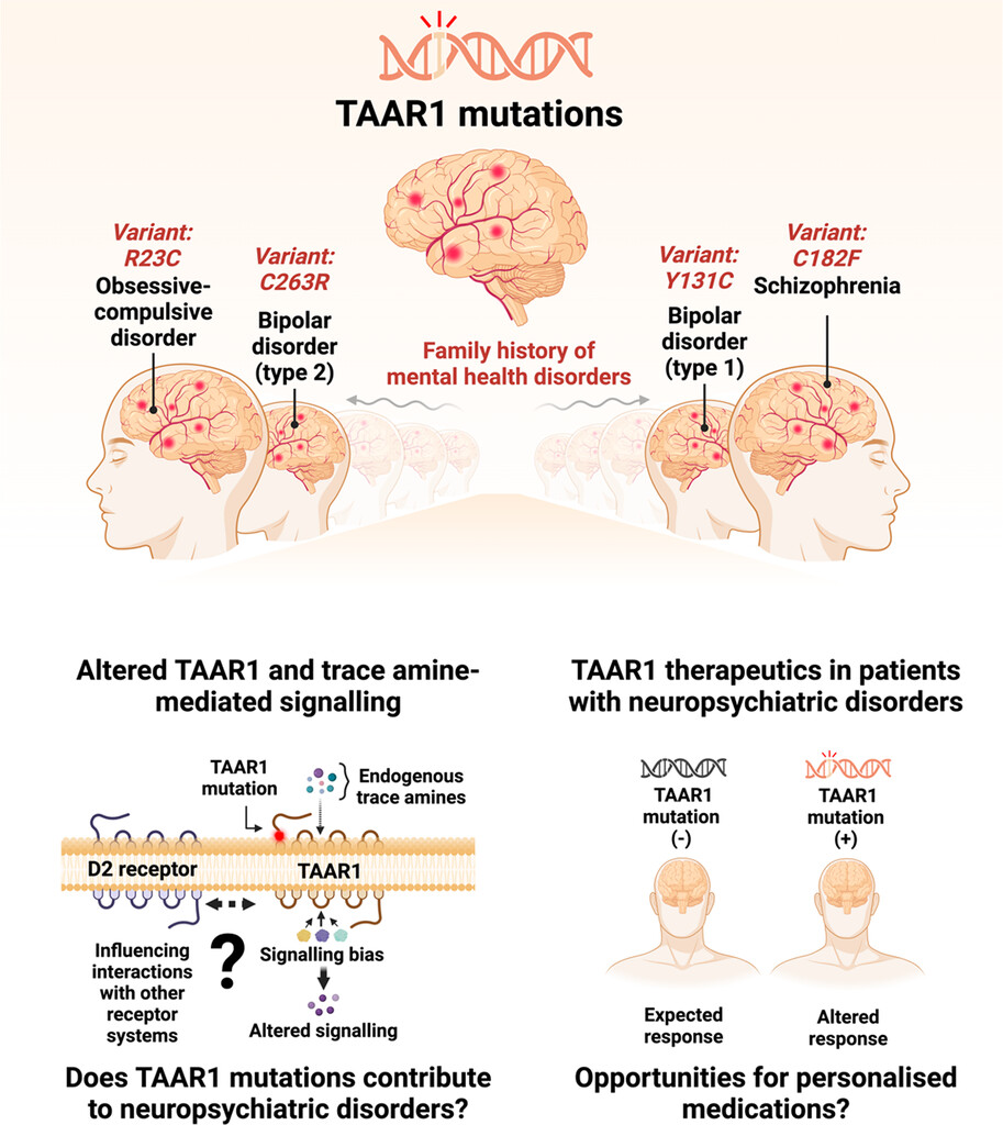 TAAR1 mutations diagram